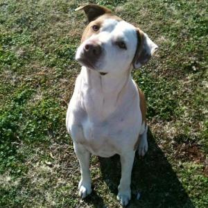 12208581_10203613806704900_5079947028272947157_n