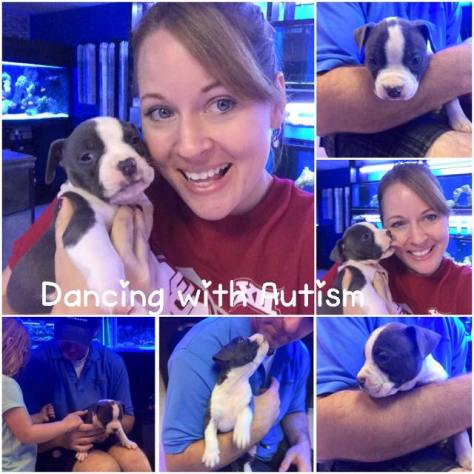 14718604_1970602206500130_9115553492696111554_n